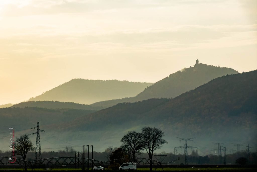 S1169782_c_PhotoGraphie.Pro